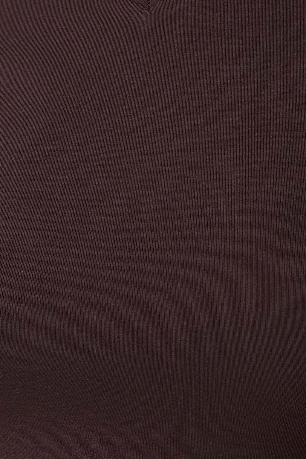 Janelle High V Neck Short Sleeve Top - Chocolate