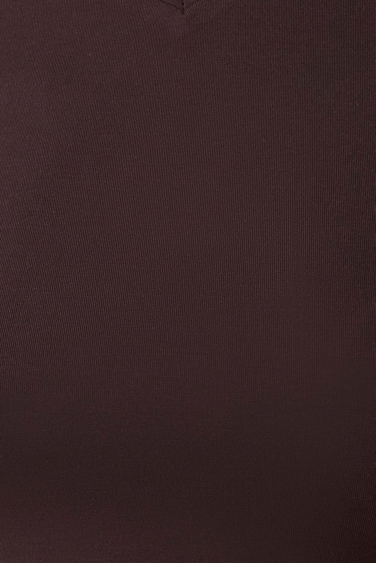 Janelle High V Neck Short Sleeve Top - Chocolate