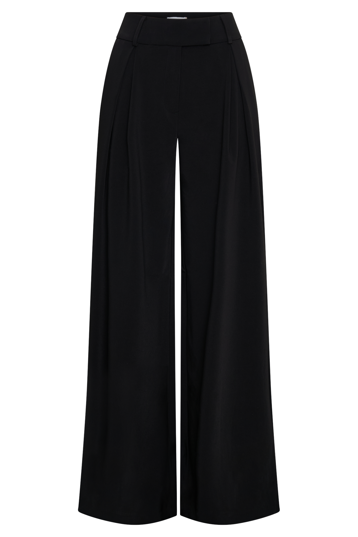 Jacqueline Pleated Wide Leg Pants - Black
